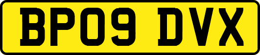 BP09DVX