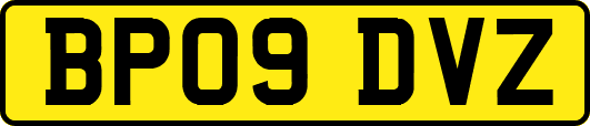 BP09DVZ