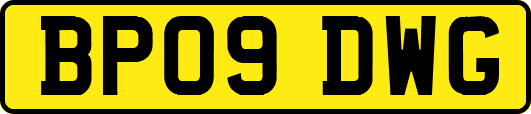 BP09DWG