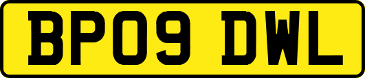 BP09DWL