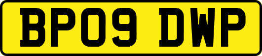 BP09DWP
