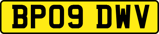 BP09DWV