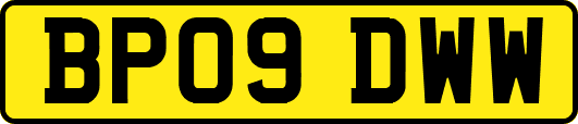 BP09DWW