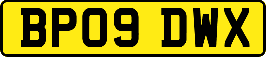 BP09DWX