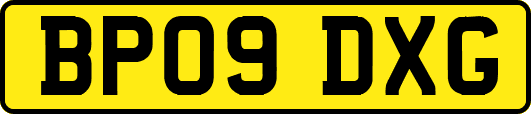 BP09DXG