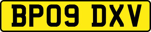 BP09DXV