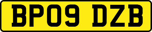 BP09DZB
