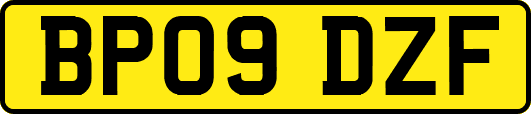 BP09DZF