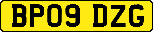 BP09DZG