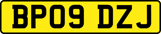 BP09DZJ