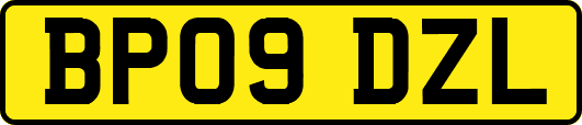 BP09DZL