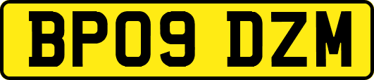 BP09DZM