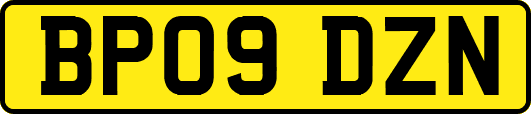 BP09DZN