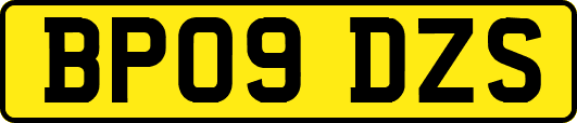 BP09DZS