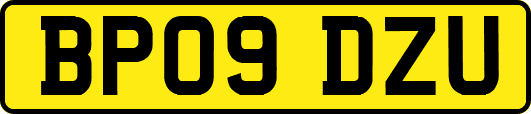 BP09DZU