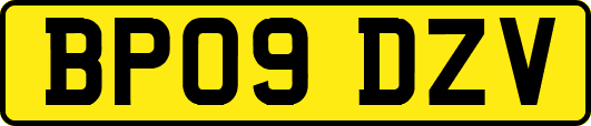 BP09DZV