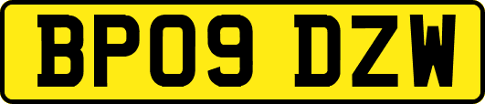 BP09DZW