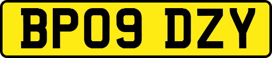 BP09DZY