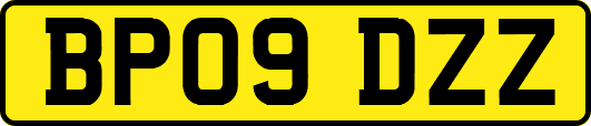 BP09DZZ