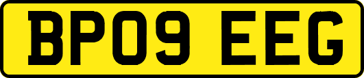 BP09EEG