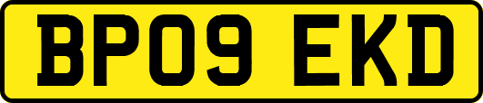 BP09EKD