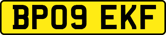 BP09EKF
