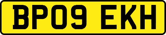 BP09EKH