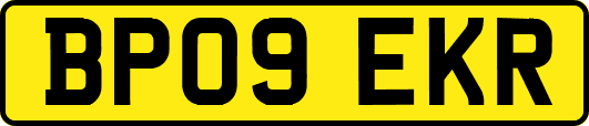 BP09EKR