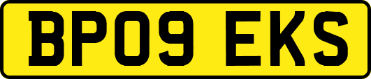 BP09EKS