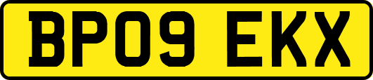 BP09EKX