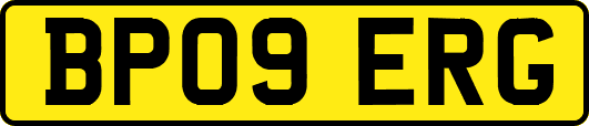 BP09ERG
