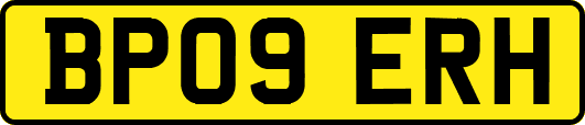 BP09ERH