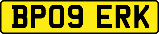 BP09ERK