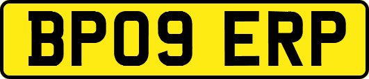 BP09ERP
