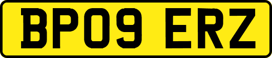 BP09ERZ