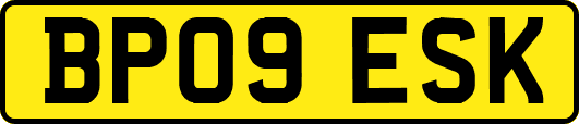 BP09ESK