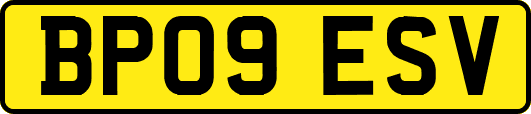 BP09ESV