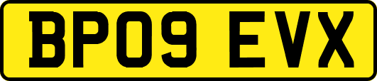 BP09EVX