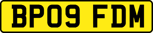 BP09FDM