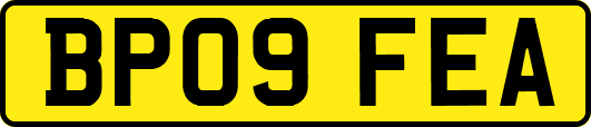 BP09FEA