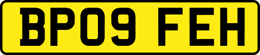 BP09FEH
