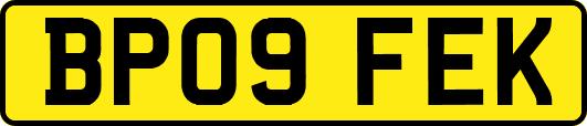 BP09FEK