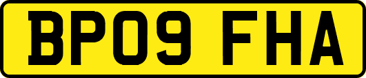BP09FHA