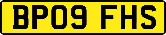 BP09FHS