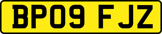 BP09FJZ