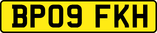 BP09FKH