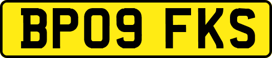 BP09FKS