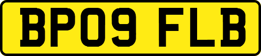 BP09FLB