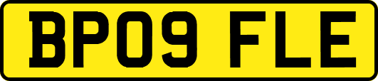 BP09FLE