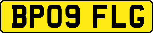 BP09FLG